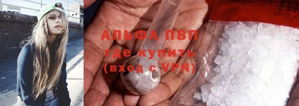 PSILOCYBIN Богданович